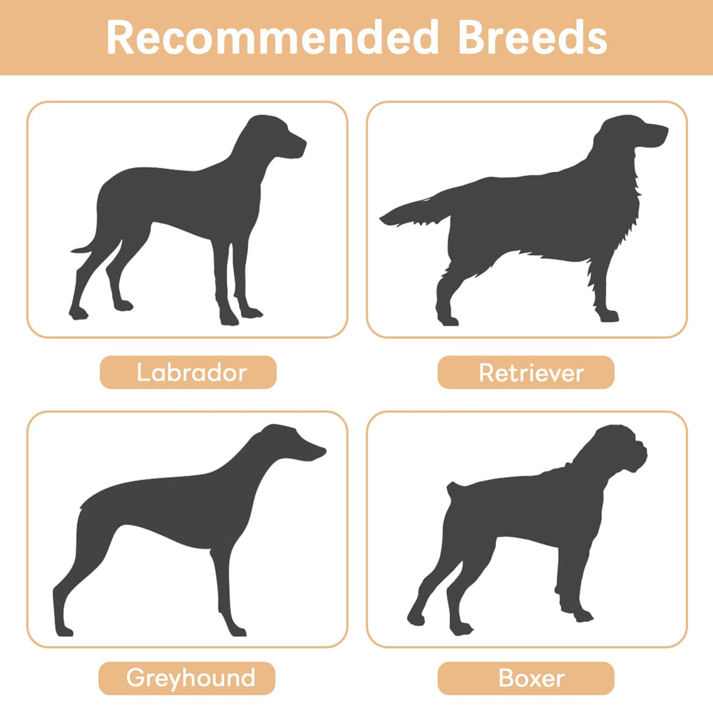 STARLATTA elevated outdoor dog bed with no-slip feet for stability