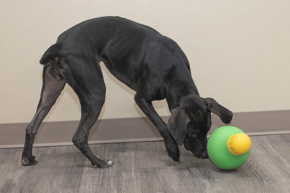 Starmark Bob-A-Lot adjustable-openings closeup conveys customizable feeding difficulty