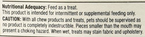 Starmark Everlasting Bacon small dog enjoying the chew during playtime.