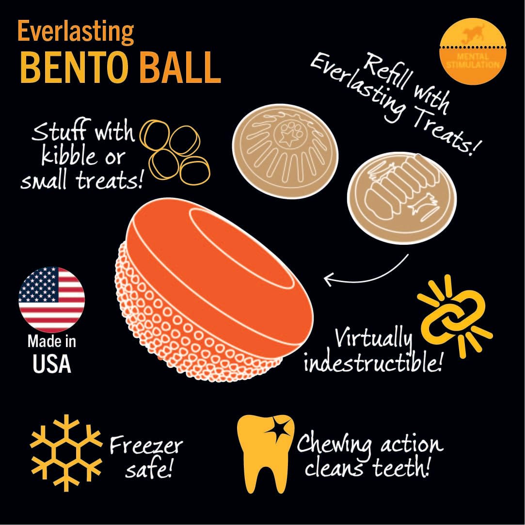 Starmark Everlasting Bento Ball medium size fits average dog mouths