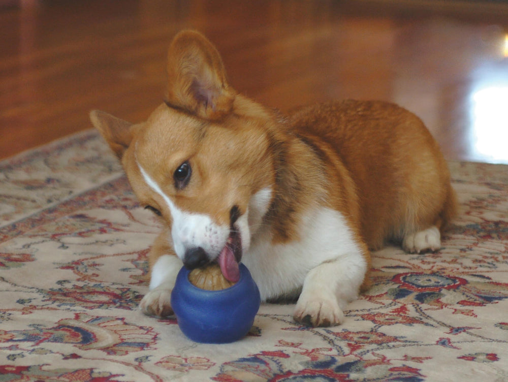 Starmark Everlasting Treat Ball Medium size guide graphic helps choosing the right fit