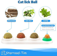 STARROAD-TIM Catnip Balls 360° rotation close-up, engaging interactive play.