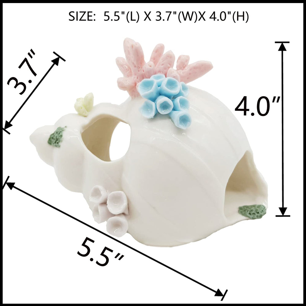 Starryfill three-hole conch ornament enables safe passage and hiding for small fish.
