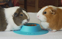 STAYbowl bowl diameter 3.25 inches ensures a snug feeding area