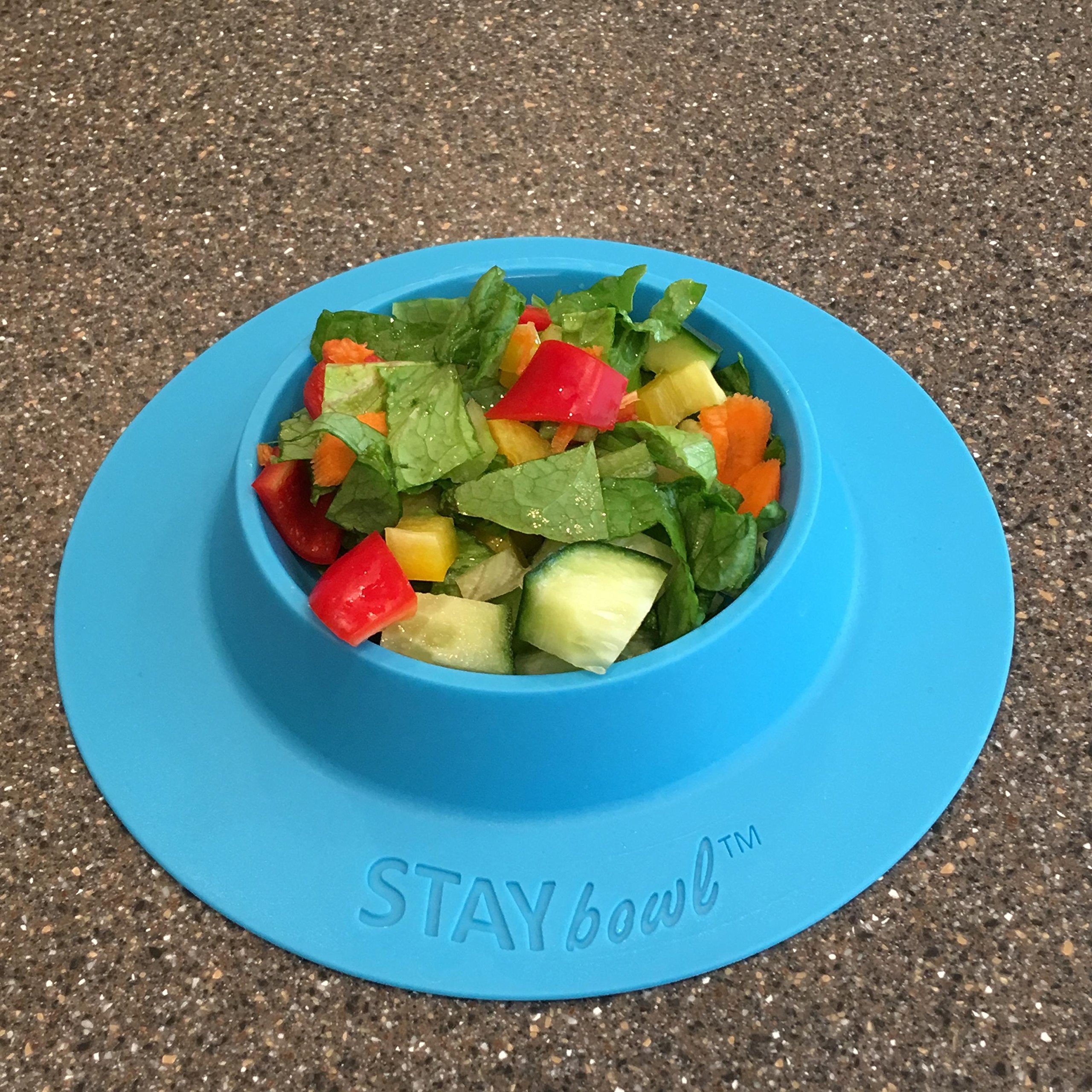 STAYbowl BPA-free plastic closeup highlights safe feeding material