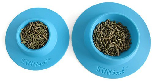 STAYbowl sky blue large 3/4 cup bowl for measured kibble or greens