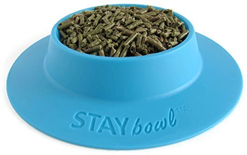 STAYbowl top view in sky blue shows large capacity for small pets
