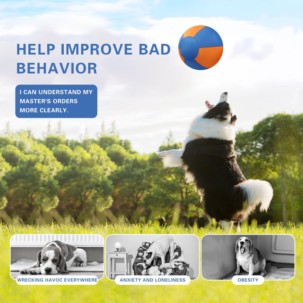Stcohyz Herding Ball in-use outdoors supports exercise and training for large breeds