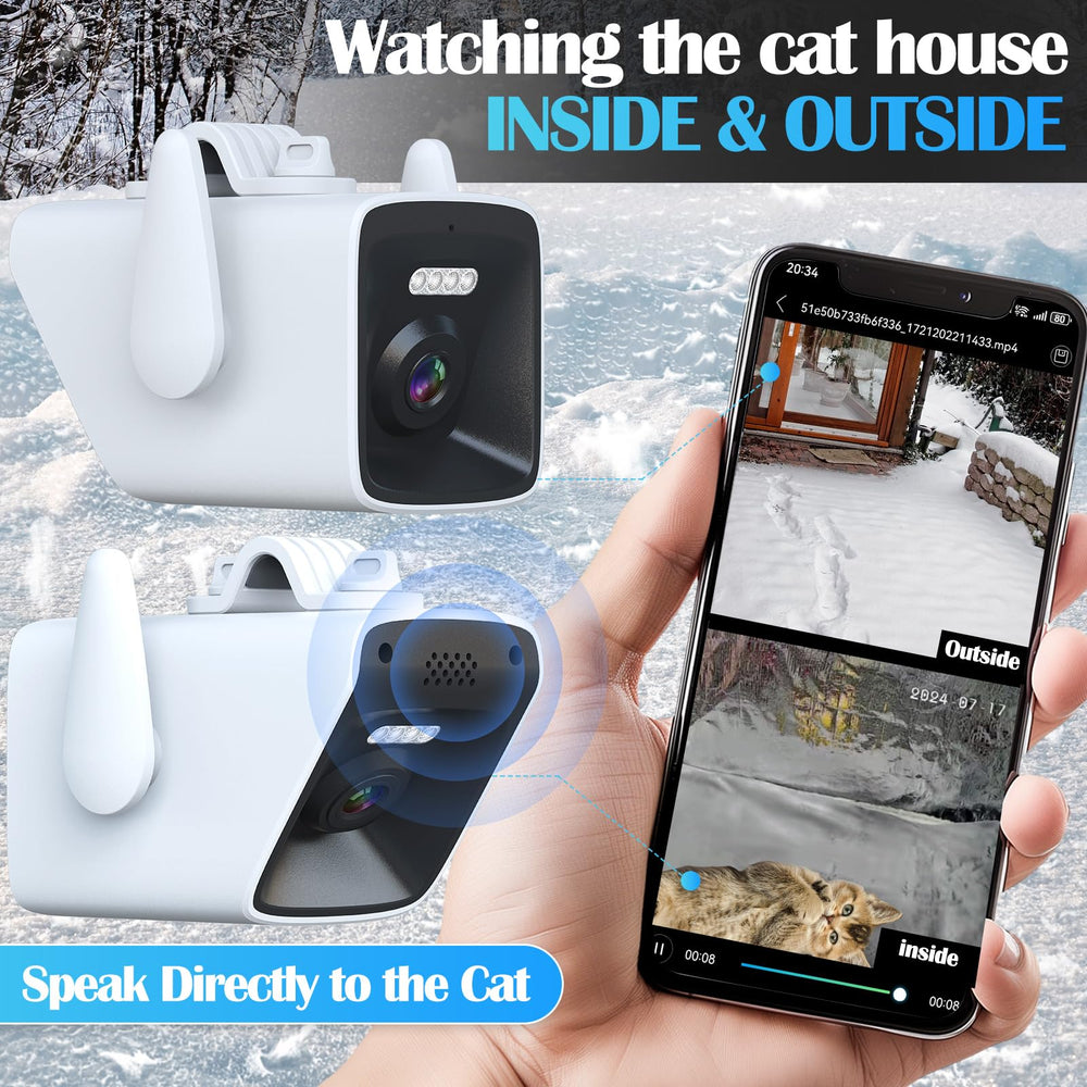 Stdily heated cat house inside view with cat—cozy, safe space stays warm.