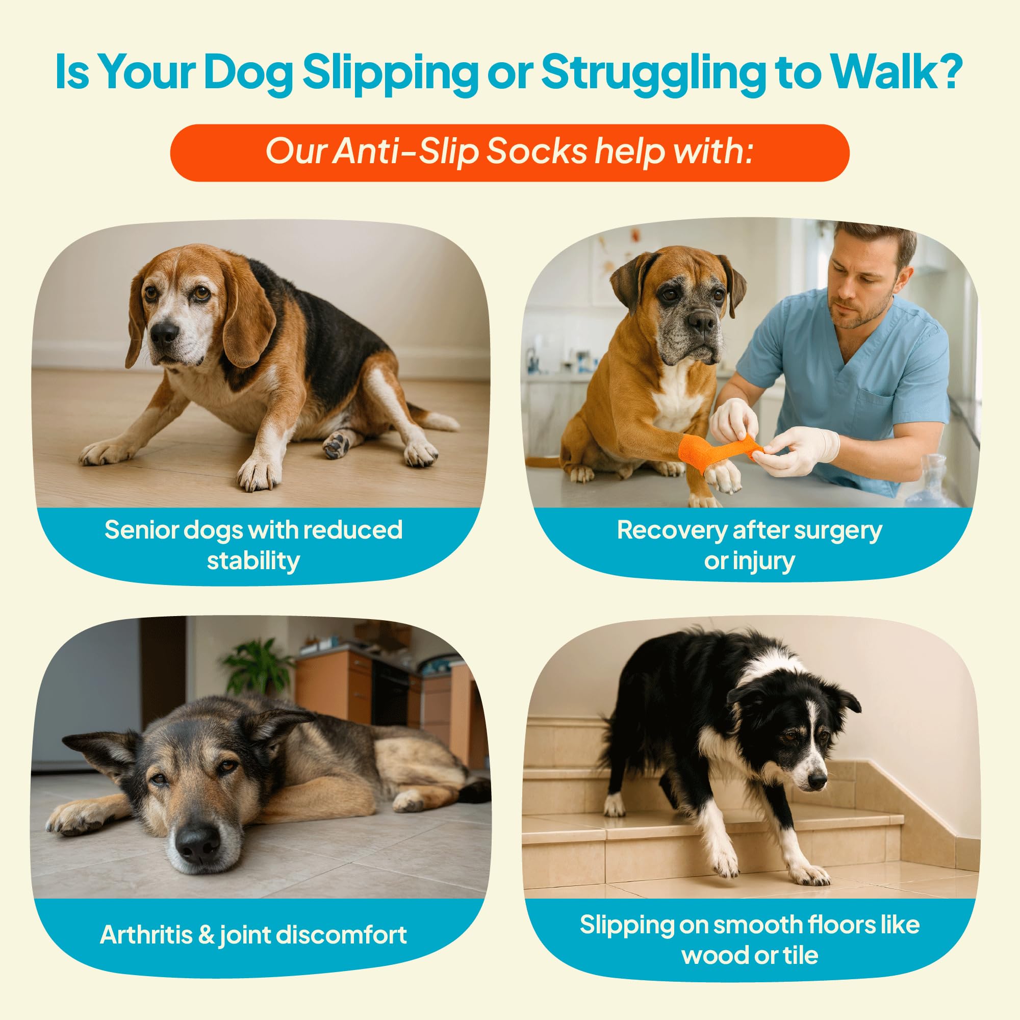 Steady Paws breathable fabric keeps paws cool indoors