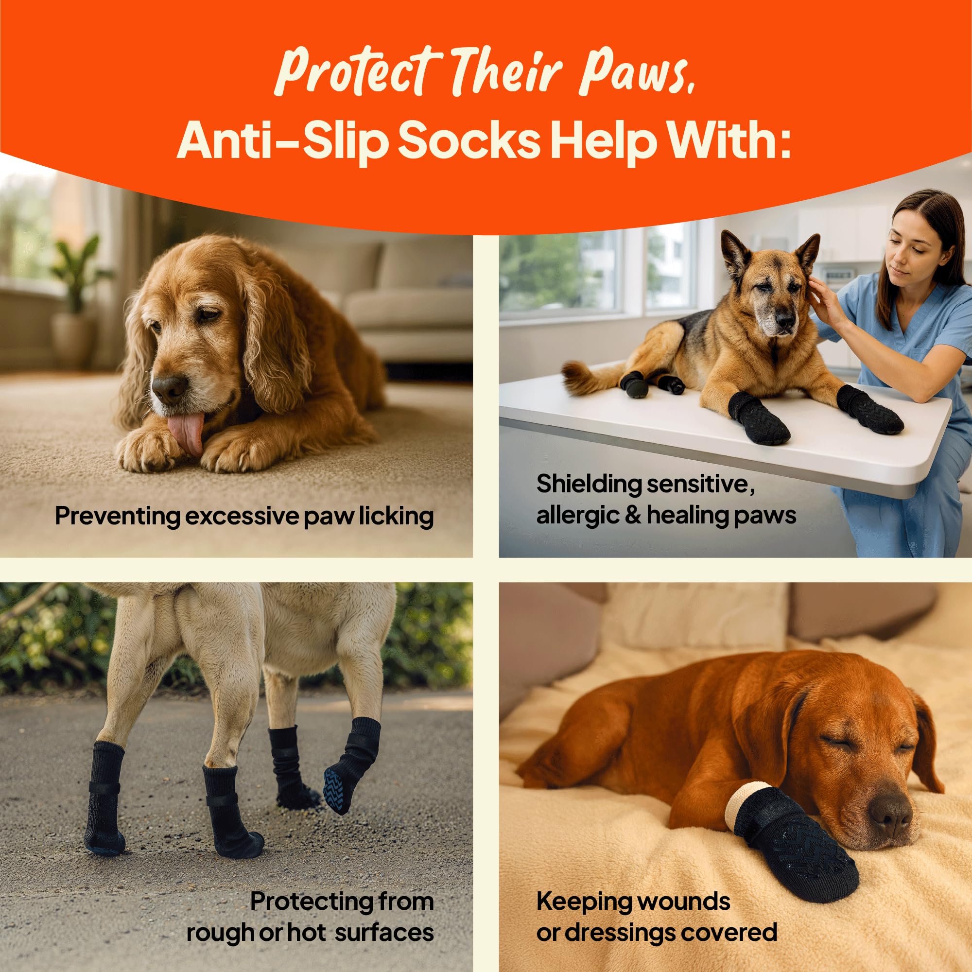 Steady Paws four-pack socks ready for daily wear