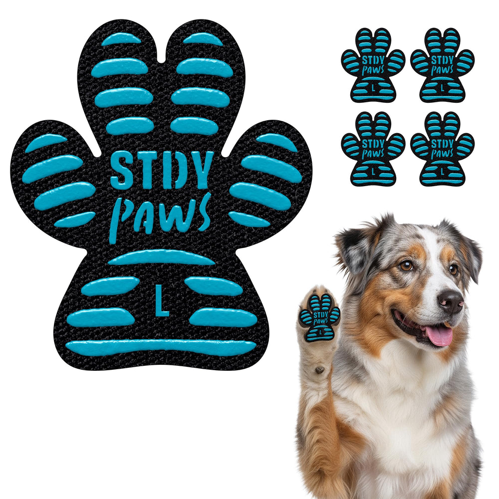 Steady Paws paw grips on hardwood floor provide secure traction for senior dogs