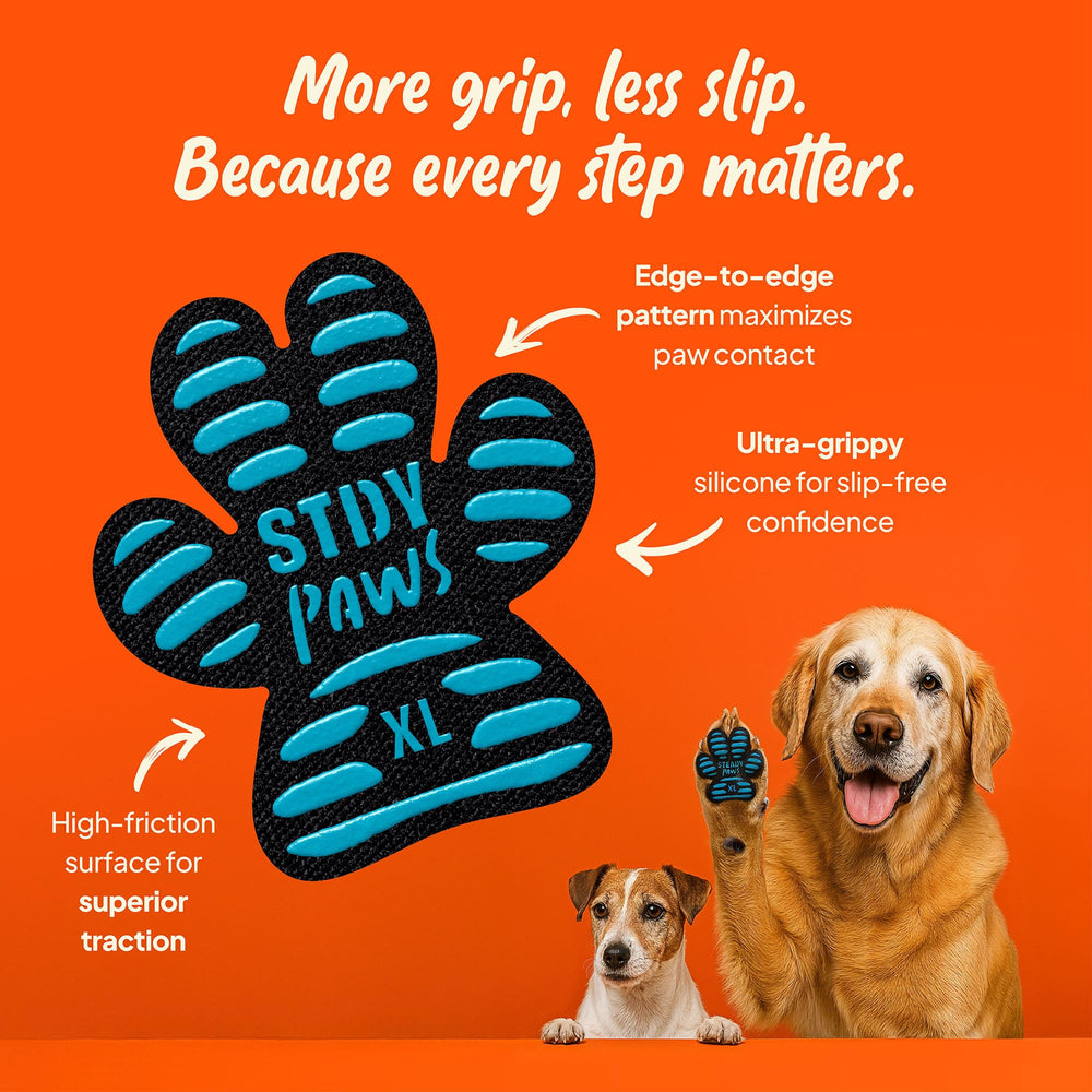 Steady Paws 24-piece set shown for sizing options from S to XXL.