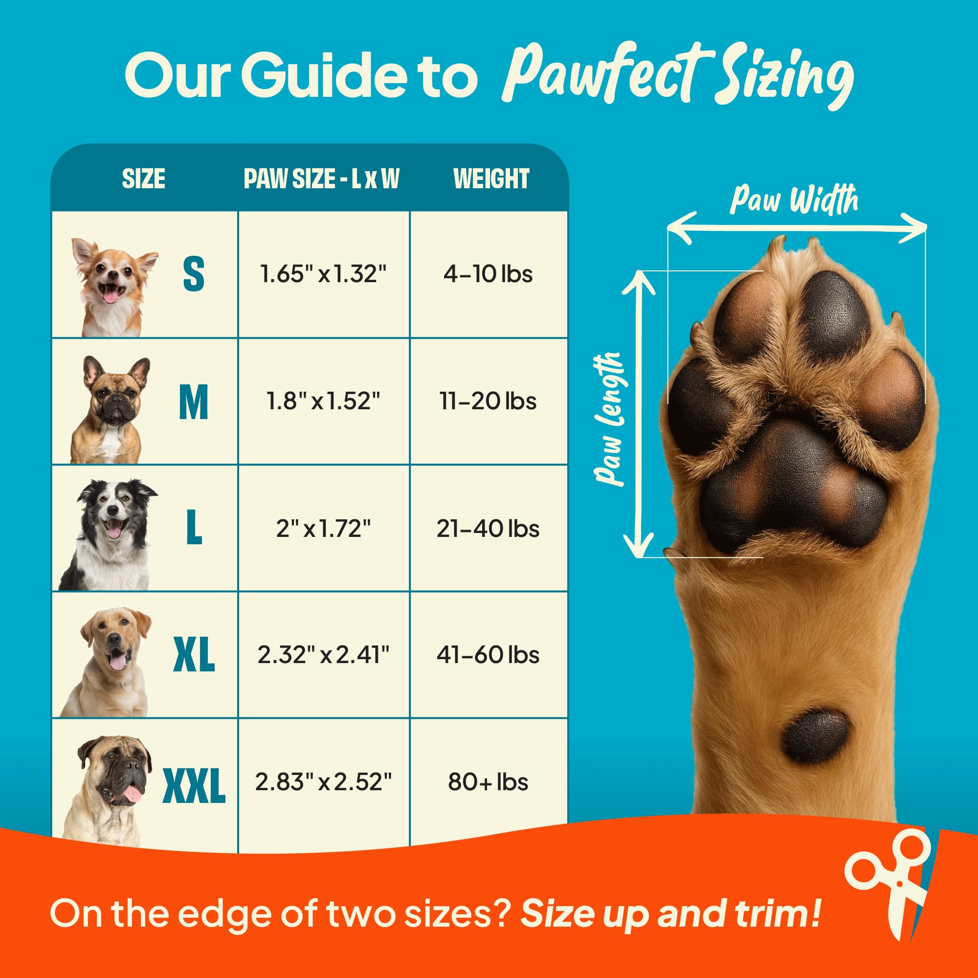 Steady Paws senior dog using non-slip grips for steady mobility