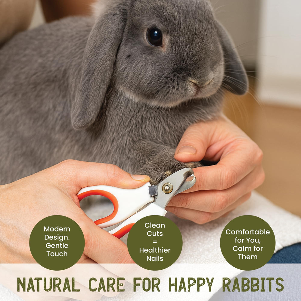 Steel & Cedar small-pets grooming tools compact design for home care