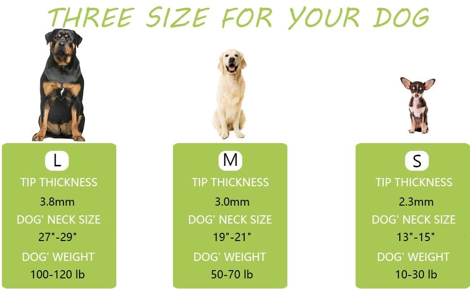 STEHEALTH universal-fit dog collar demonstrates versatility across breeds.