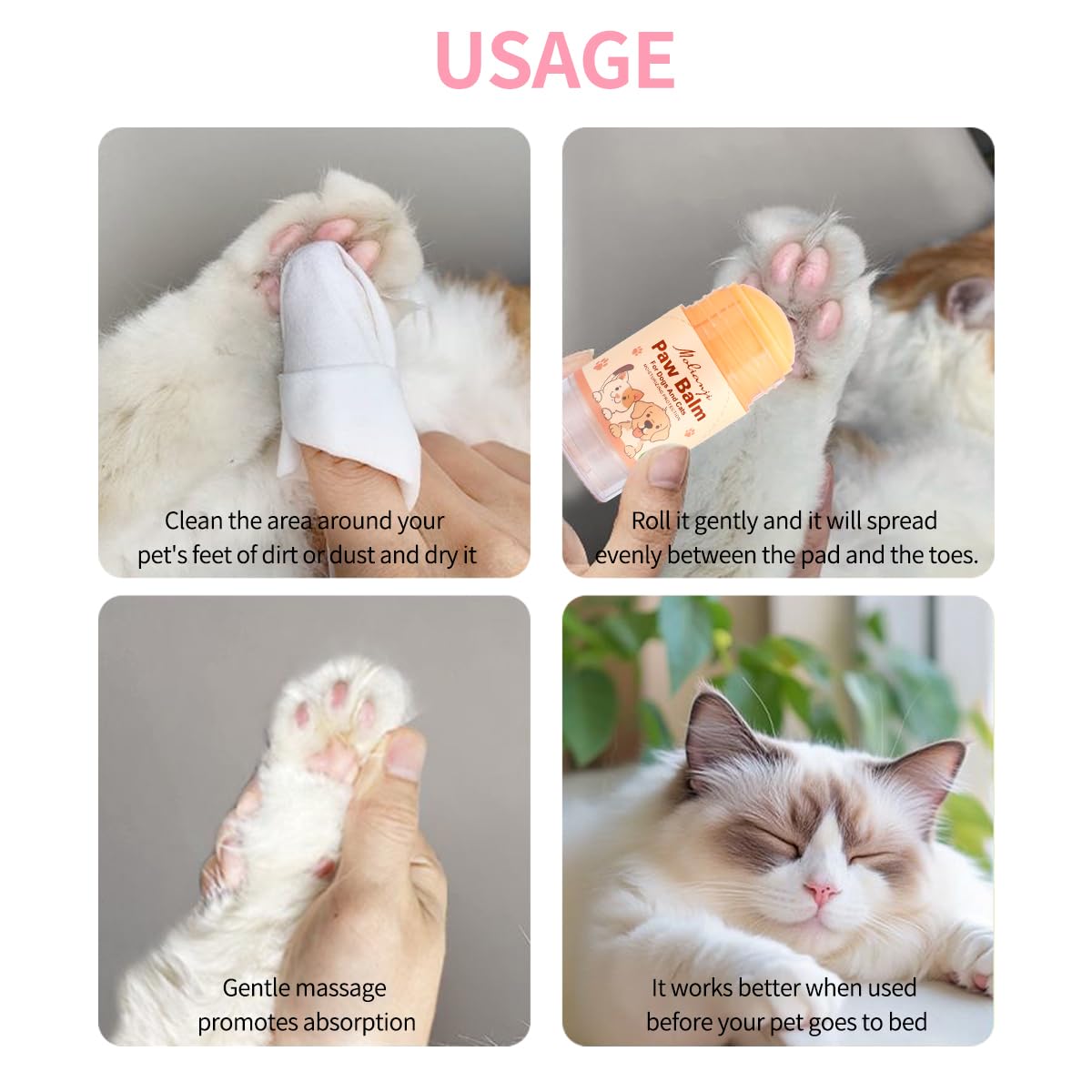 Steigullage paw balm during beach walk protects paws from grit