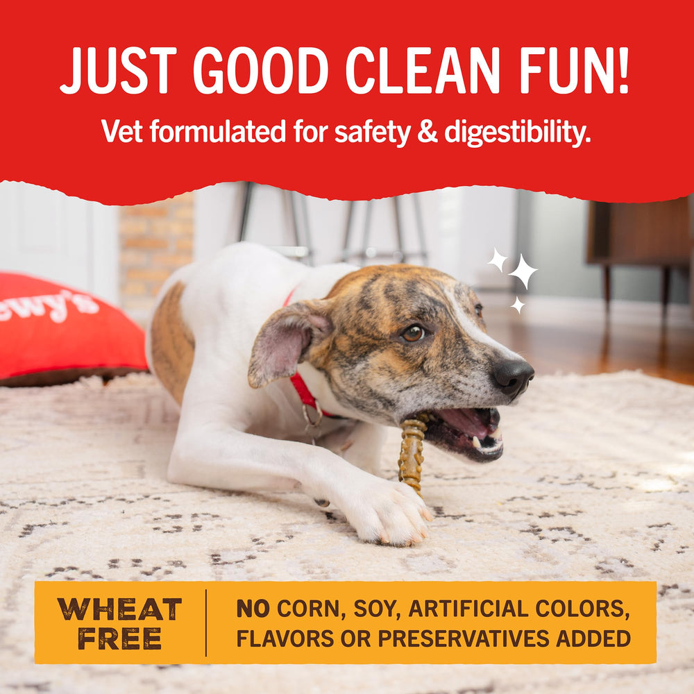 Dog enjoying Stella & Chewy's Dental Delights chew