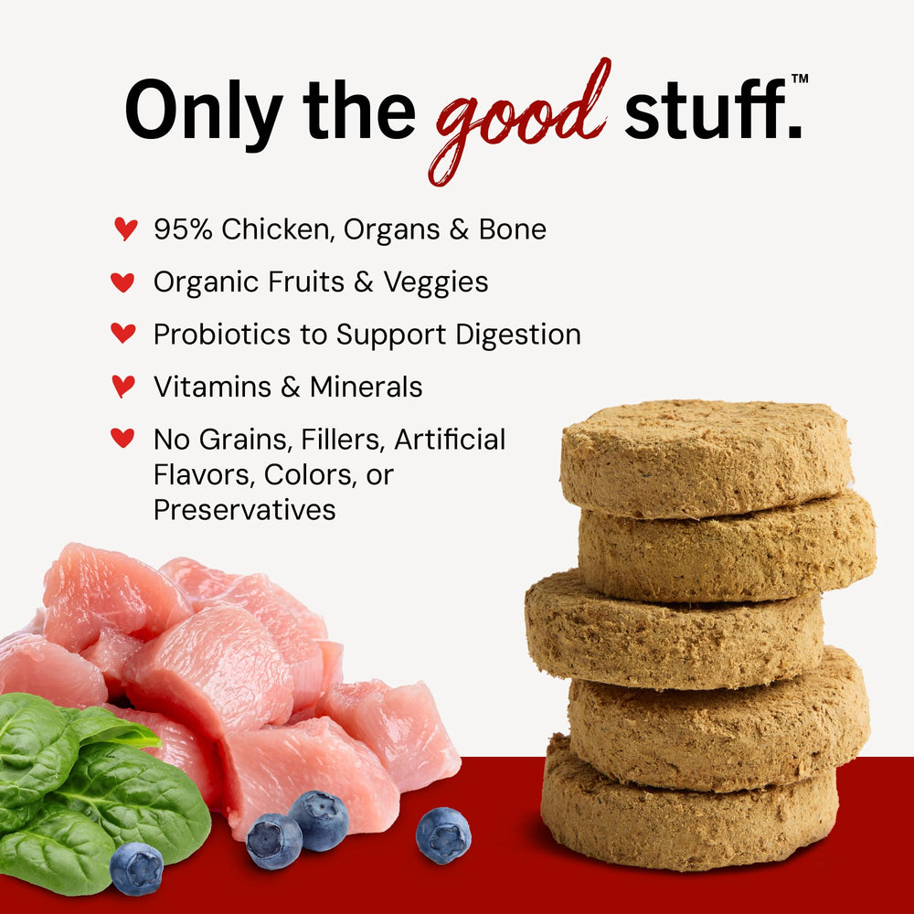 Stella & Chewy's dinner patties plated for a puppy meal, illustrating versatile serving options.