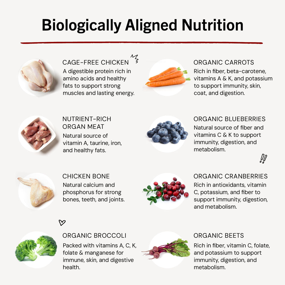 Stella & Chewy's small-batch USA production label signals quality and responsible sourcing.