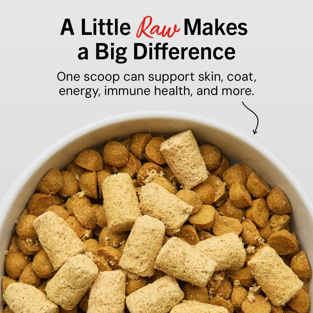 Stella & Chewy's ingredients closeup highlights 95% lamb and organ content for nutrient-dense meals