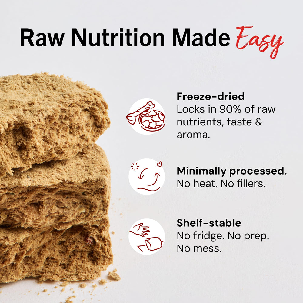 Stella & Chewy's beef patty texture close-up, grain-free, digestible texture.