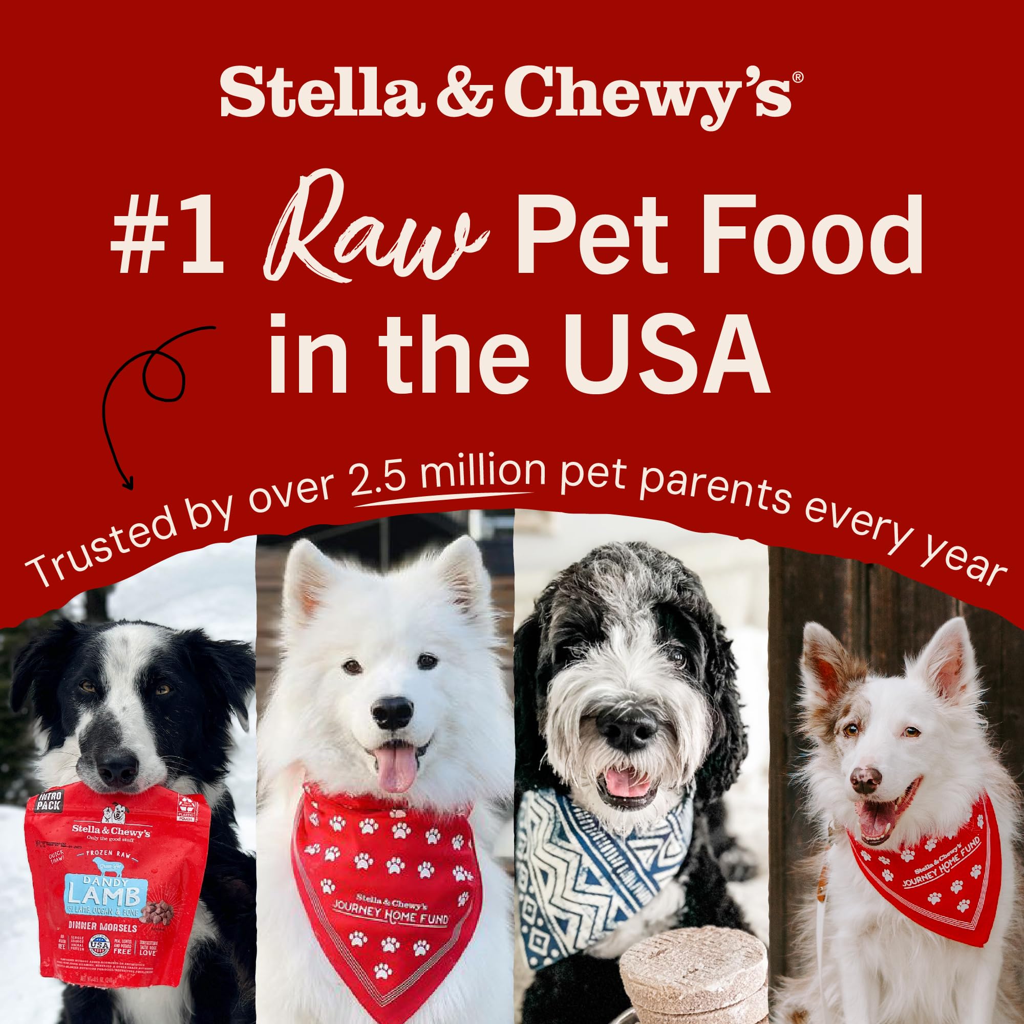 Stella & Chewy's probiotic-enhanced patty for digestive-friendly dog nutrition.