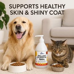 STELLAR CHEMICAL CORP Salmon Oil dog joy enhances daily activity