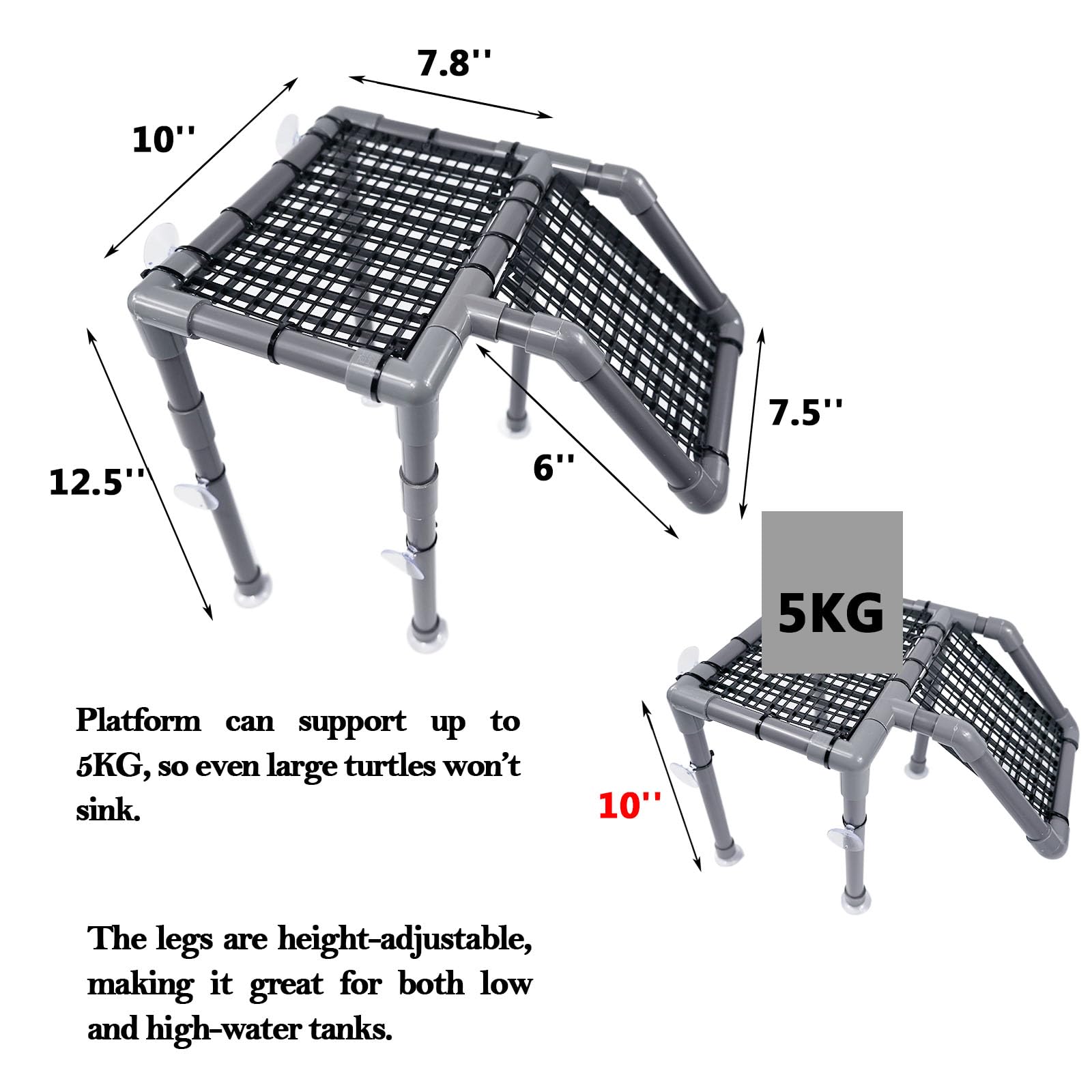 StellarOcean platform in use demonstrates comfortable basking for a turtle.