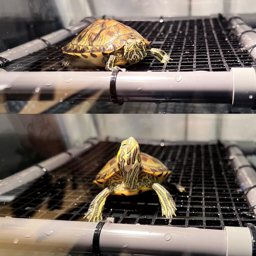 StellarOcean water level note ensures proper fit with your tank.