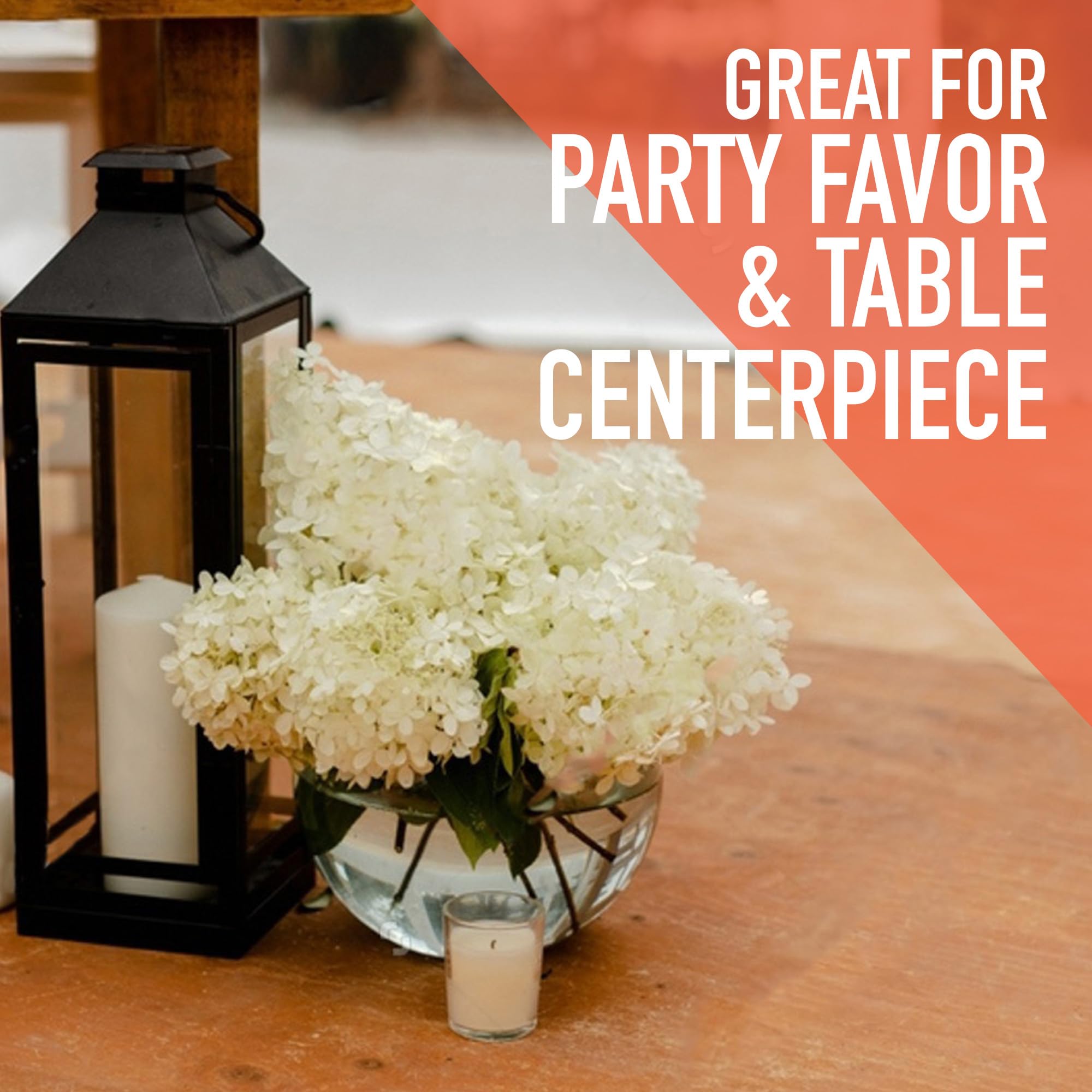 Sterline fish bowls center-diameter-375-in ideal for varied displays.