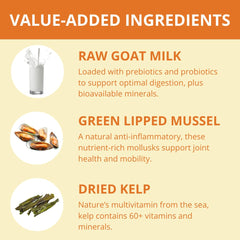 Steve's Real Food pork nuggets pets eating demonstrates appealing aroma during feeding.