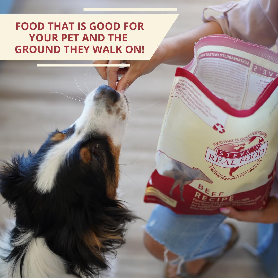 Cat-friendly Steve's Real Food beef nuggets served as a tasty option.