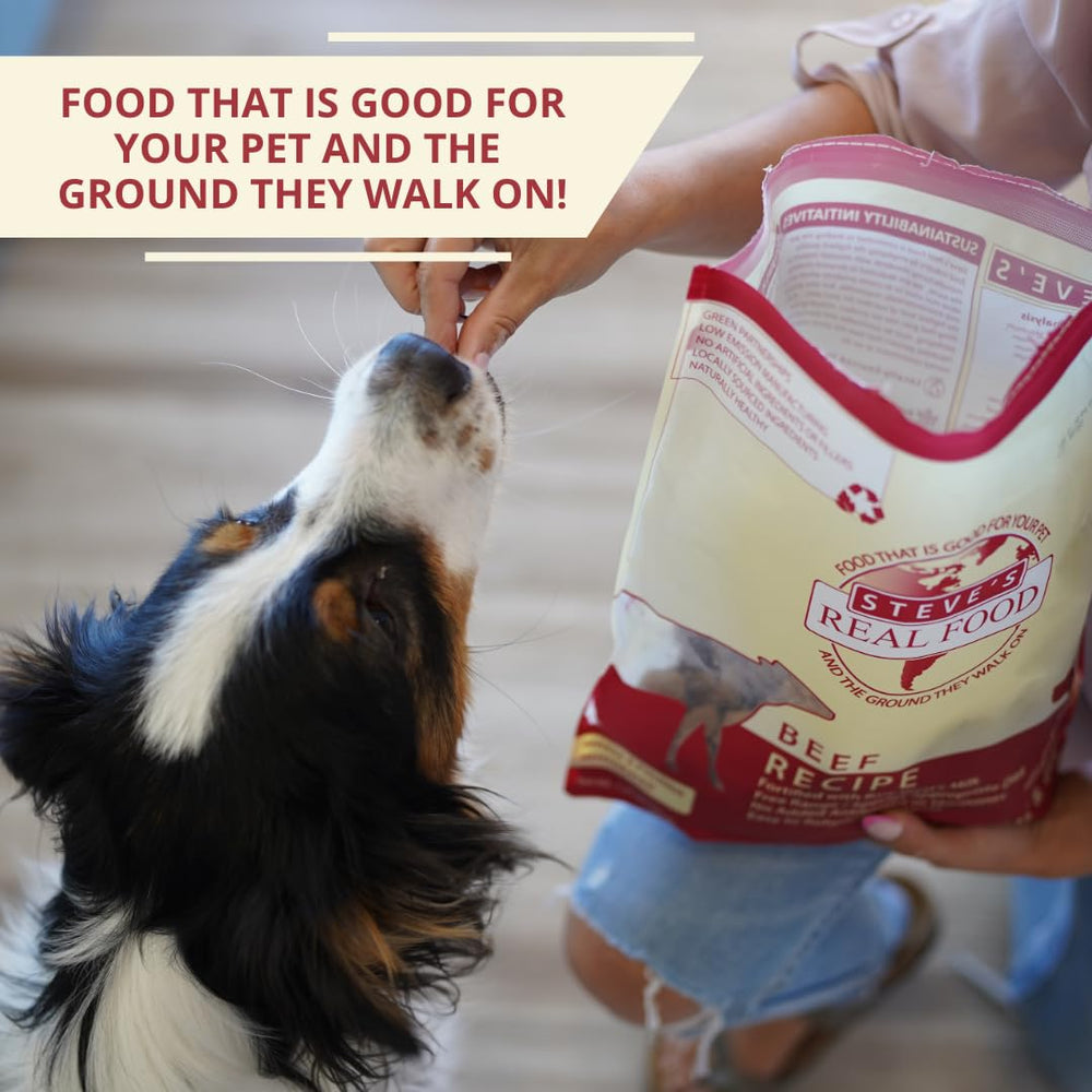 Cat-friendly Steve's Real Food beef nuggets served as a tasty option.