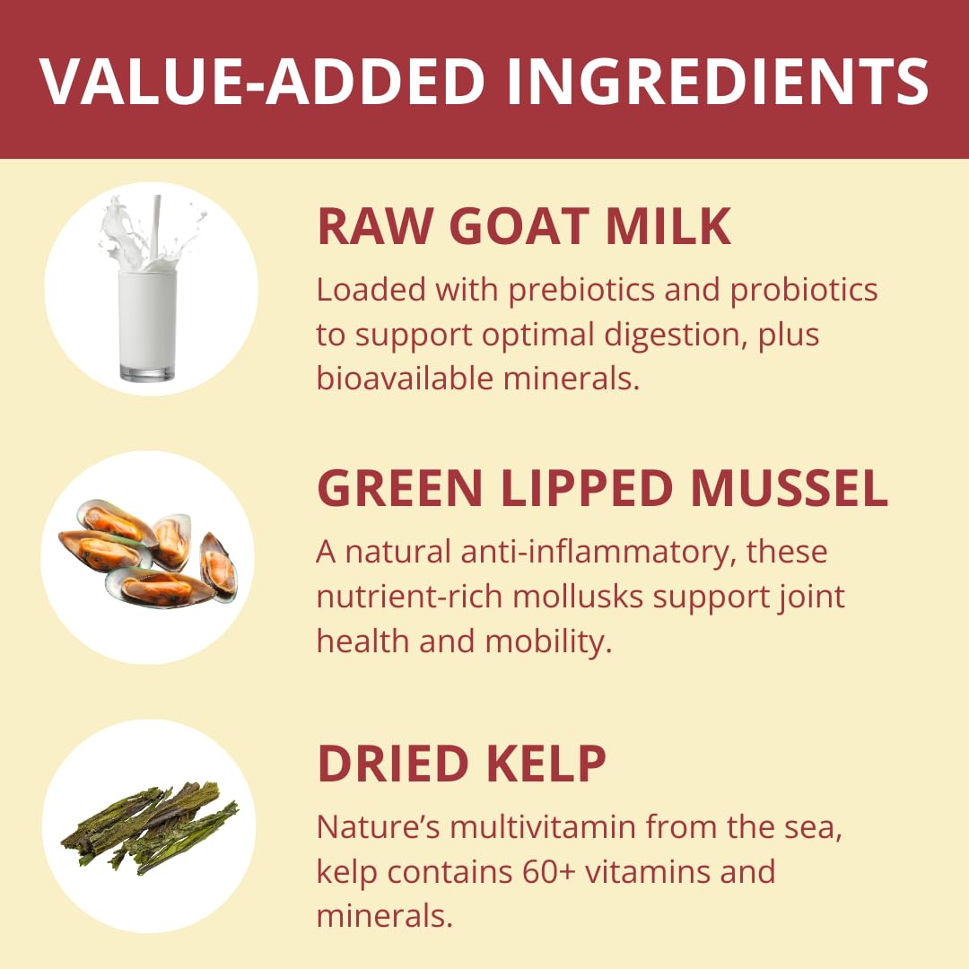 Steve's Real Food beef nuggets texture close-up—crisp freeze-dried surface for easy feeding.