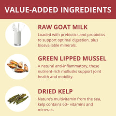 Steve's Real Food beef nuggets texture close-up—crisp freeze-dried surface for easy feeding.