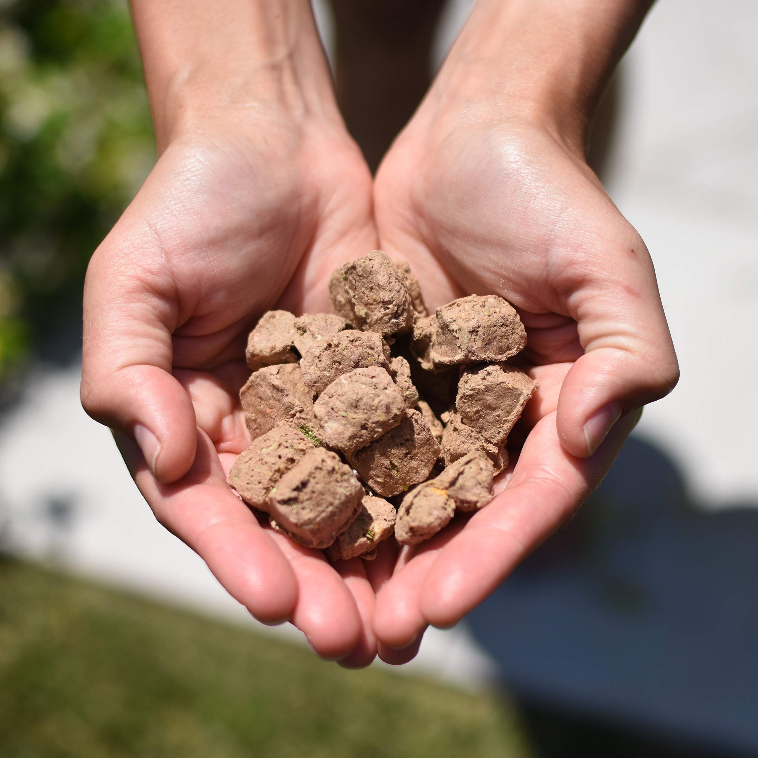 Steve's Real Food freeze-dried turkey nuggets bag back, feeding simplicity for pets and humans