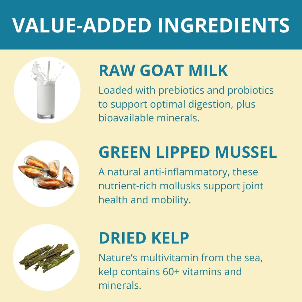 Steve's Real Food freeze-dried turkey nuggets for picky eaters, appealing flavor