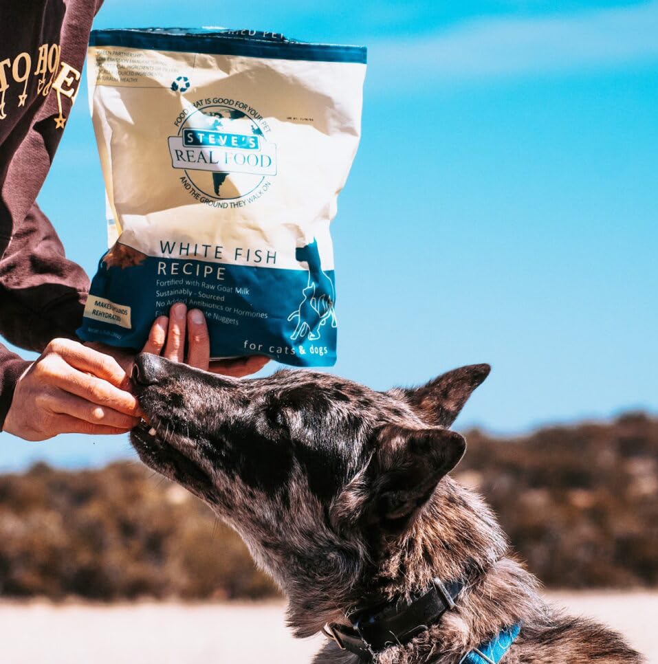 Steve's Real Food white fish nuggets served on a plate for pets.