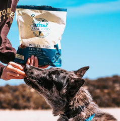 Steve's Real Food white fish nuggets served on a plate for pets.