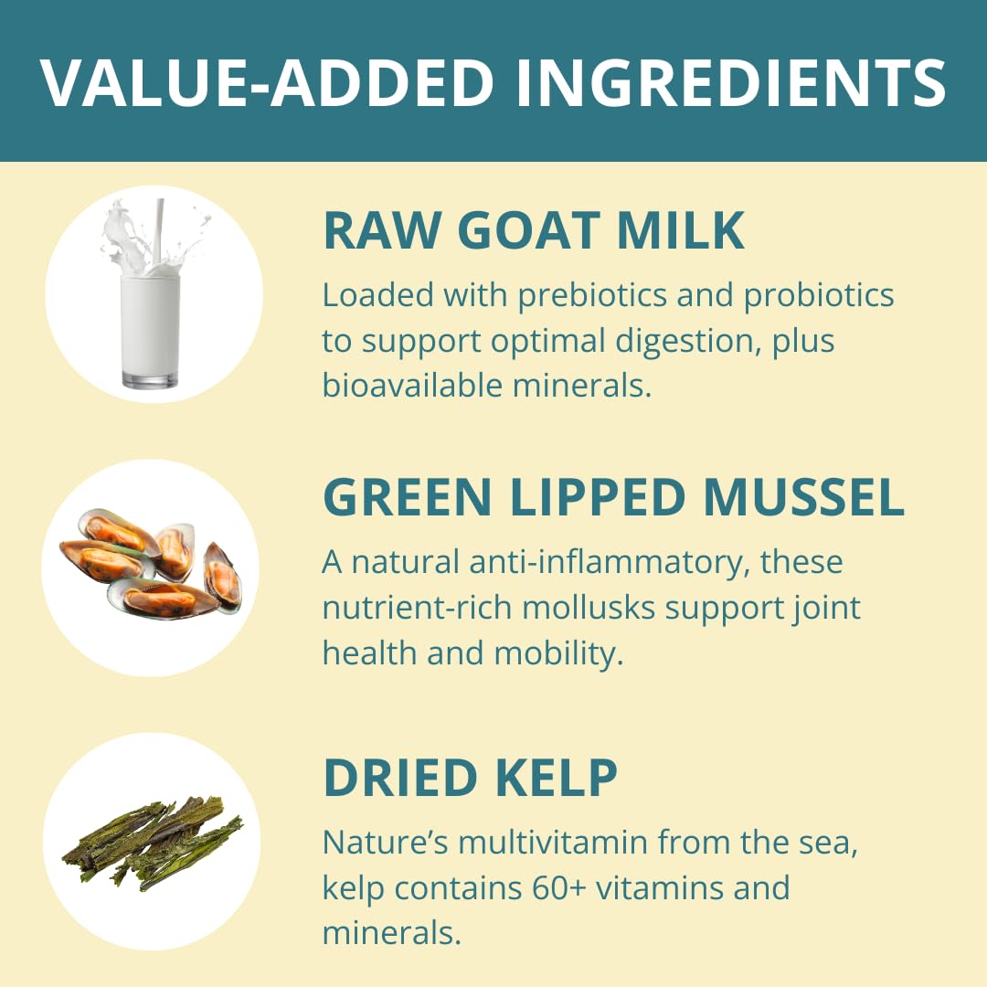 Steve's Real Food white fish nuggets travel container for on-the-go feeding.