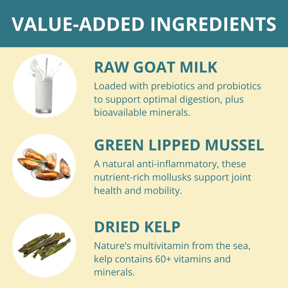 Steve's Real Food white fish nuggets travel container for on-the-go feeding.