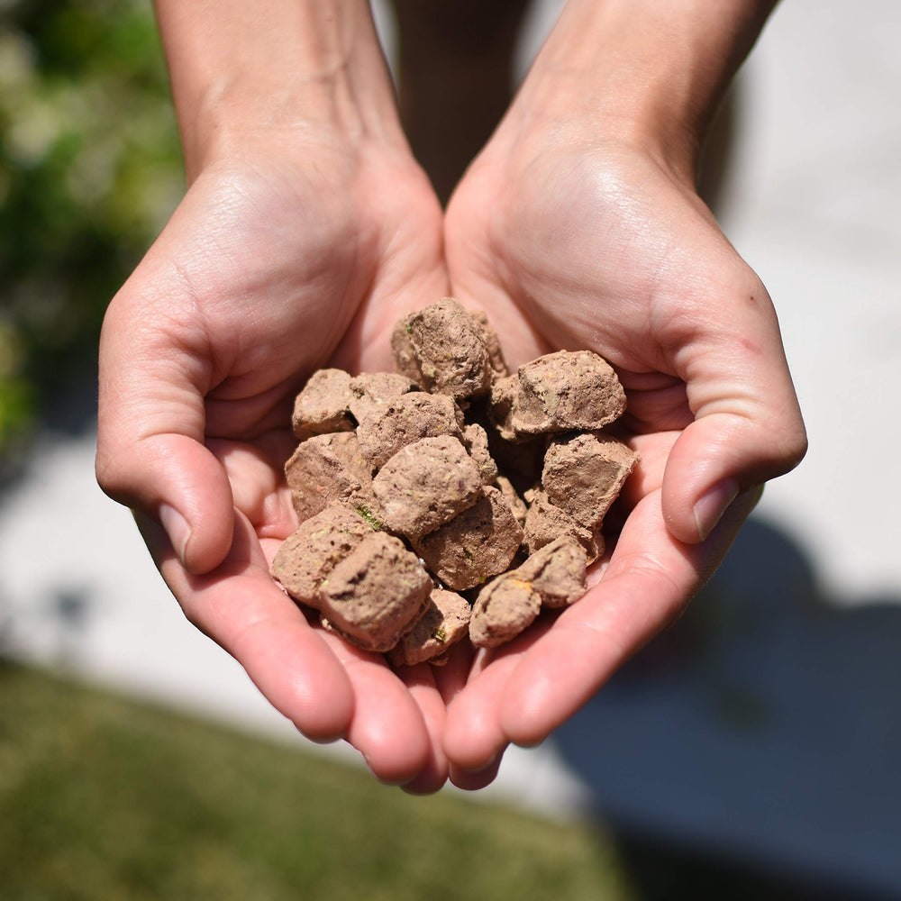 Steve's Real Food pour-and-serve nuggets shown ready-to-use for quick pet meals