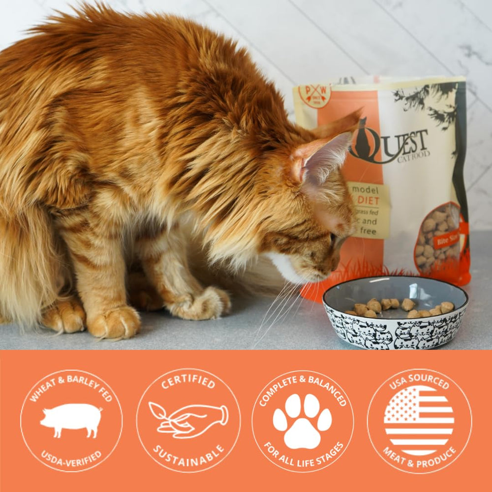 Rehydrated Quest pork nuggets ready for a moisture rich serving