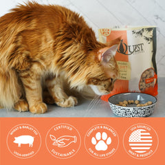 Rehydrated Quest pork nuggets ready for a moisture rich serving