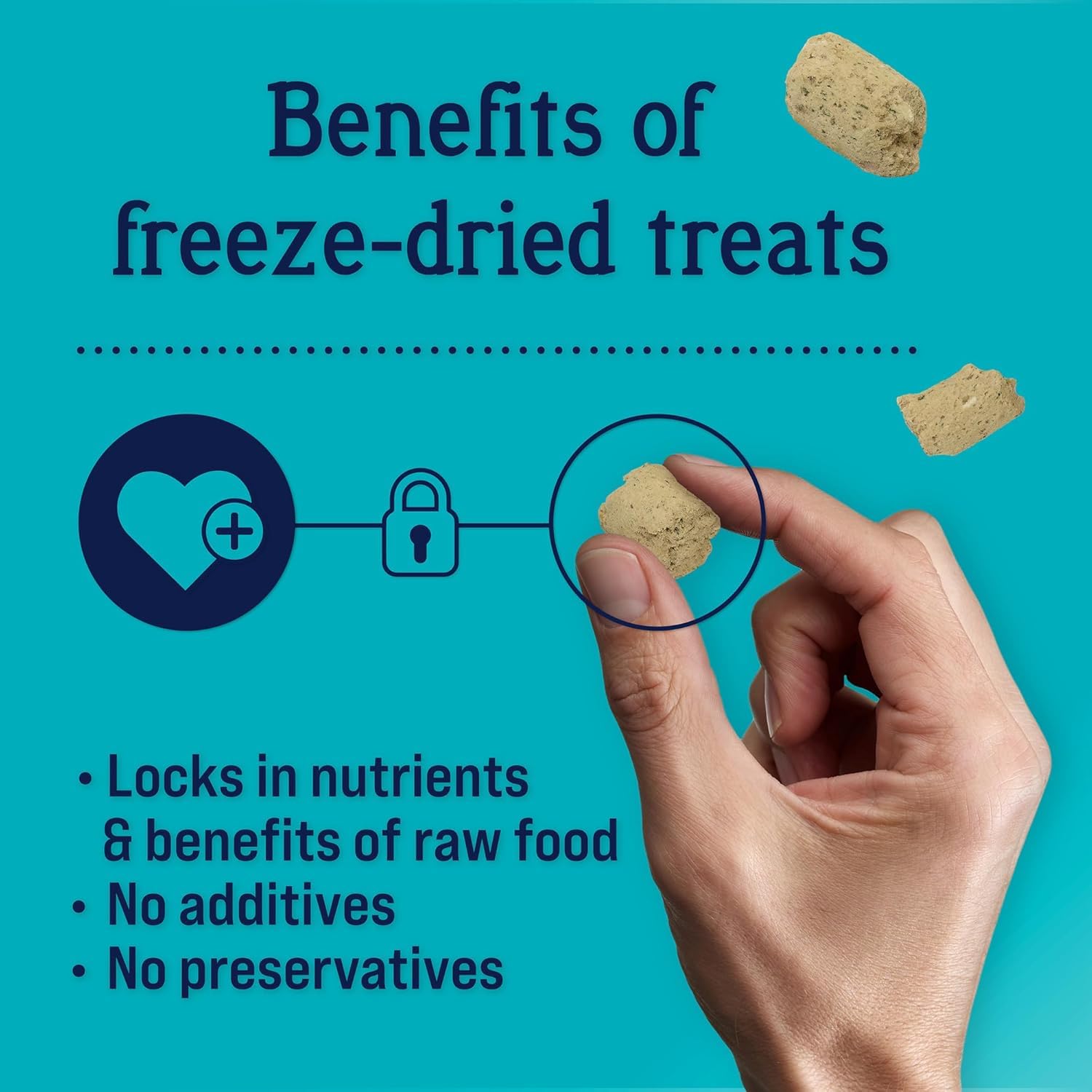 Stewart PuffTops ingredients display shows real bacon and cheese for flavor and protein