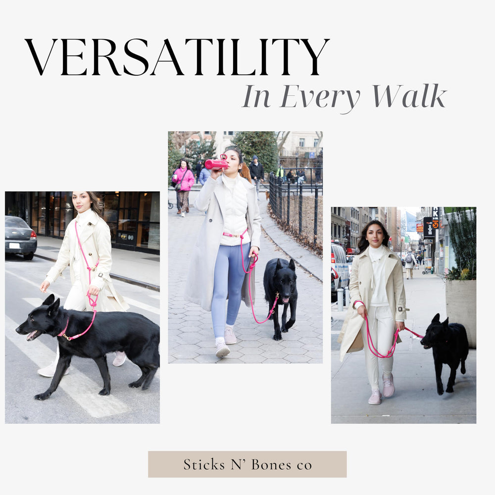 Sticks N' Bones double-handle leash adds control during pulls