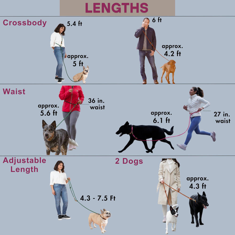 Sticks N' Bones durable nylon leash withstands daily walks