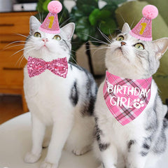 STMK birthday numbers 0-8 with hat, customizable age display for pet birthdays