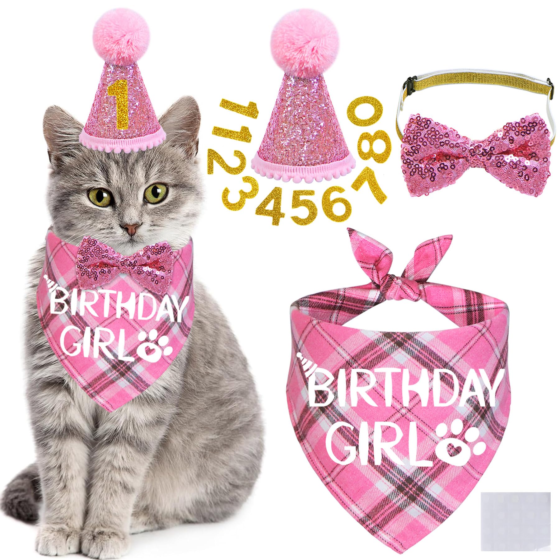 STMK cat birthday hat on a festive pet, ideal for adorable photos and celebrations